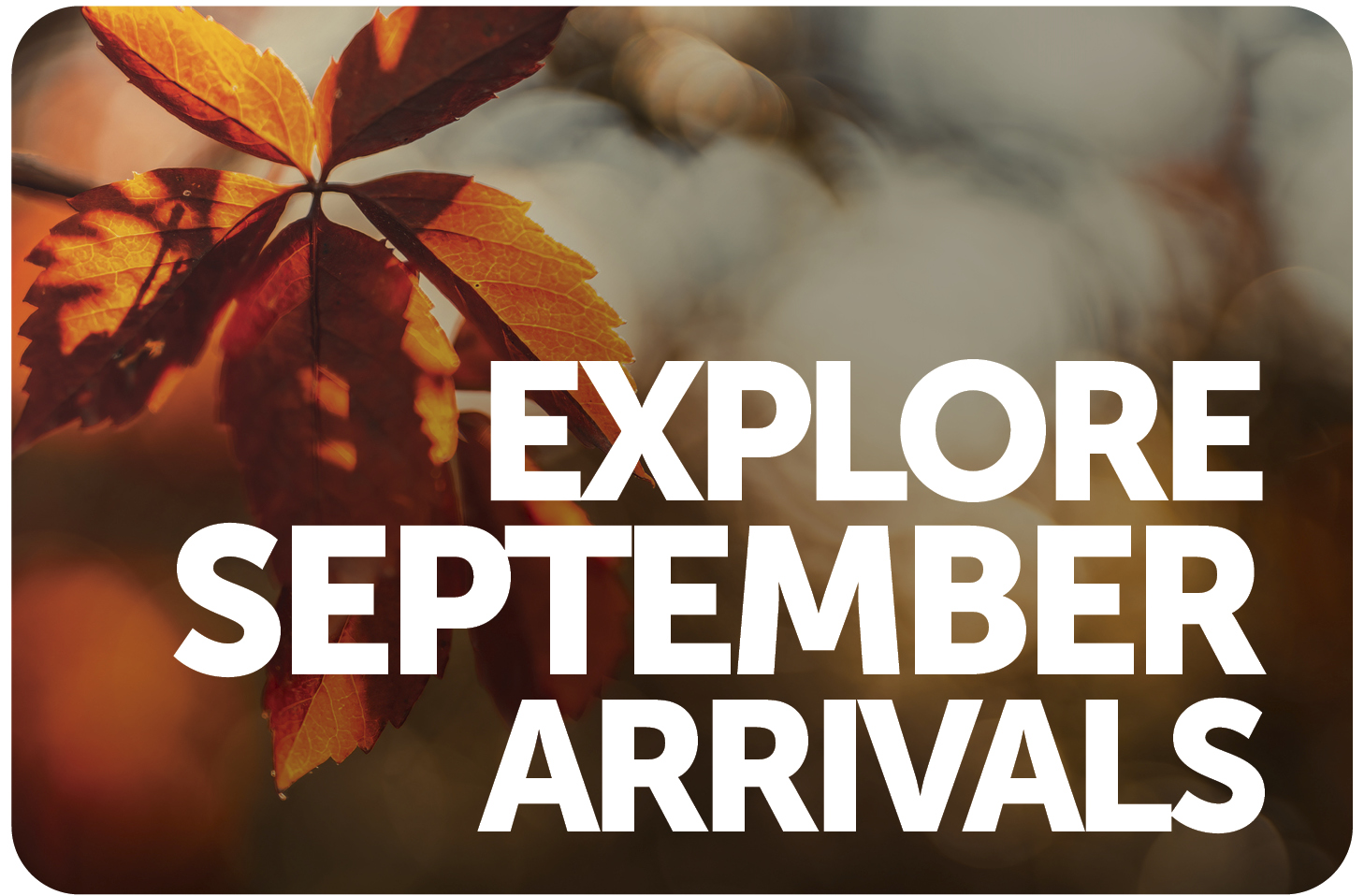 Explore September Arrivals