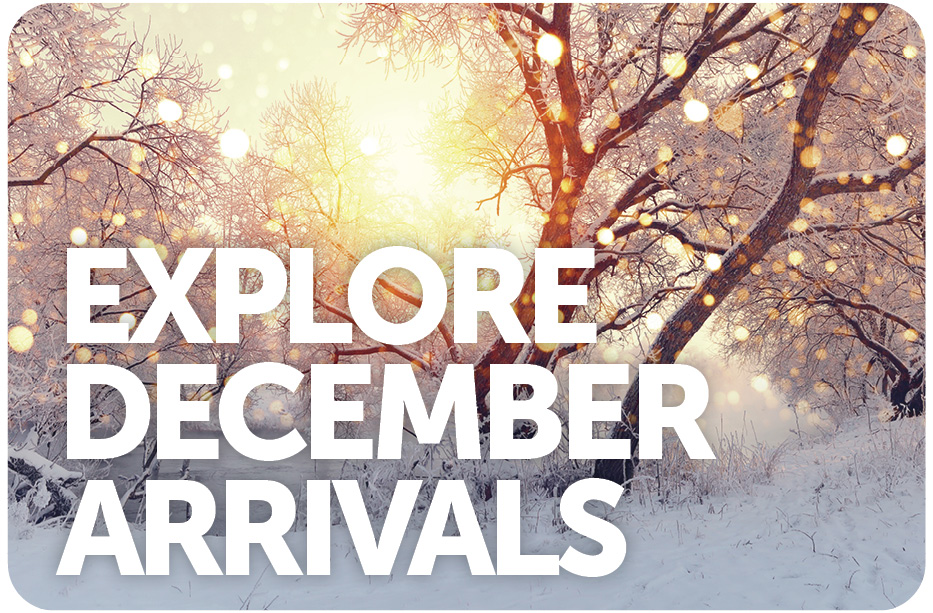 Explore December Arrivals