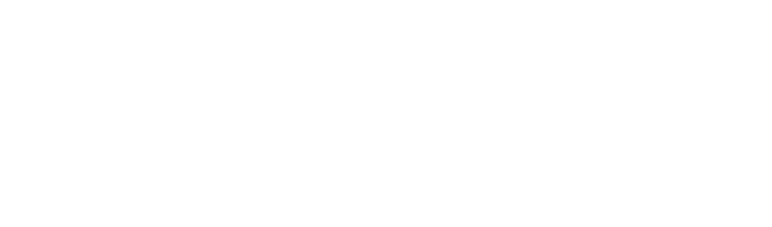 TABLE OF CONTENTS