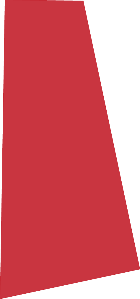 Polygon