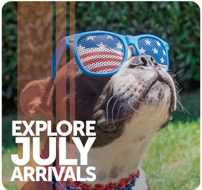 Explore July Arrivals.