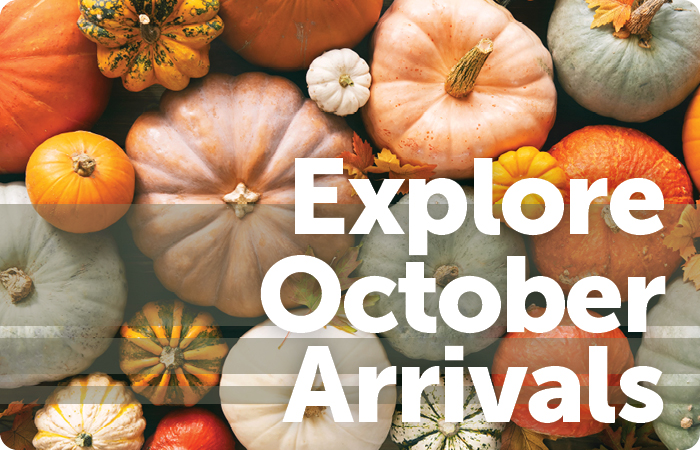 Explore October Arrivals