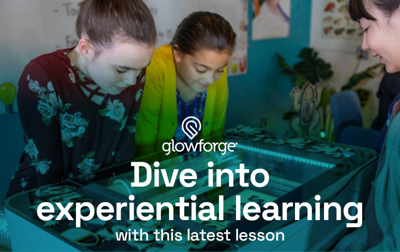 Dive into experiential learning with this latest lesson
